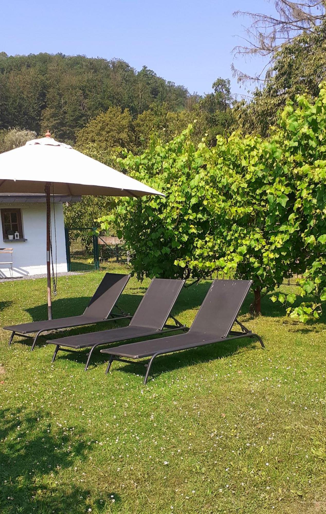Homestay 